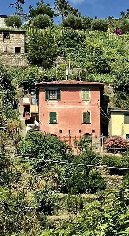 Ca Du Venuto Holiday home Vernazza Italy